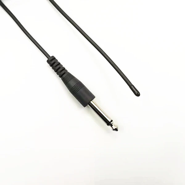 Human Body Cavity Temperature Sensor